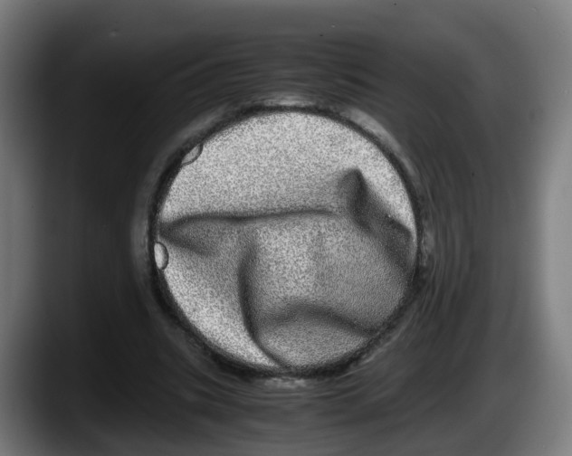 X0000087560535200705251802
