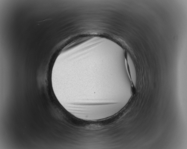 X0000087560536200705251802