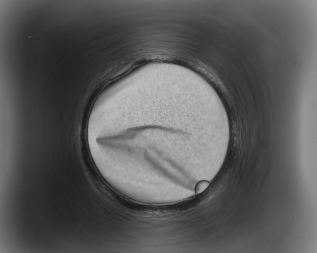 X0000087560538200705251802