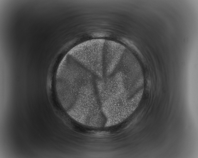 X0000087560539200705251802