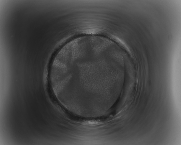 X0000087560540200705251802
