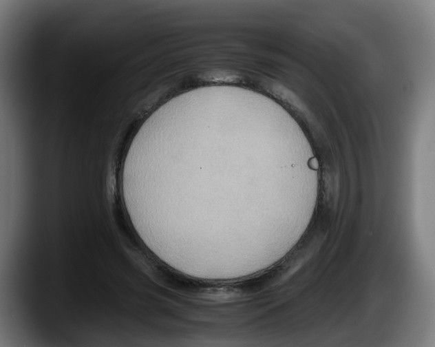 X0000087560541200705251802
