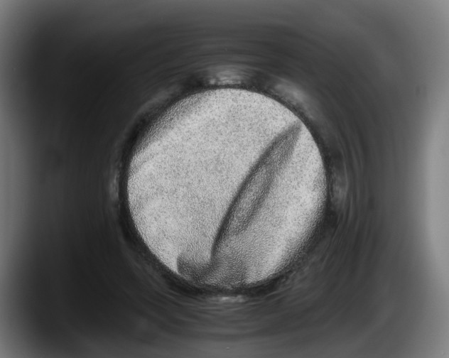 X0000087560543200705251802