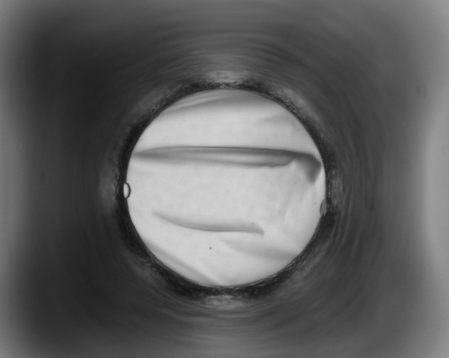 X0000087560544200705251802