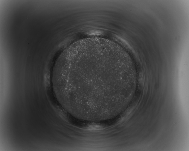 X0000087560547200705251802