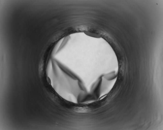 X0000087560548200705251802