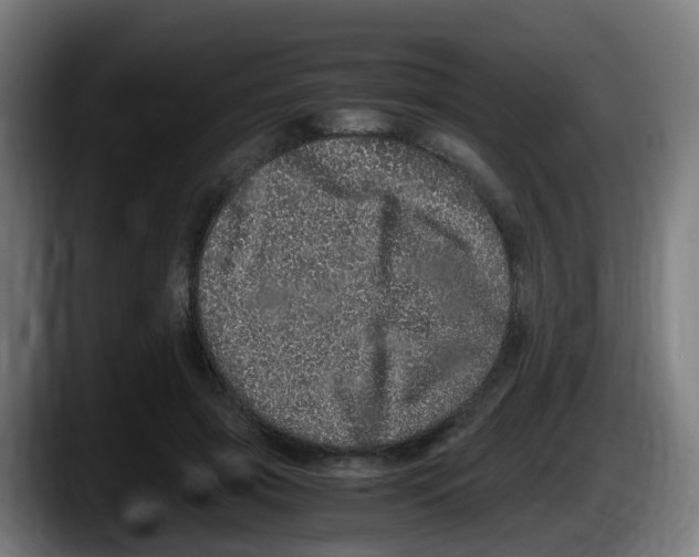 X0000087560549200705251802