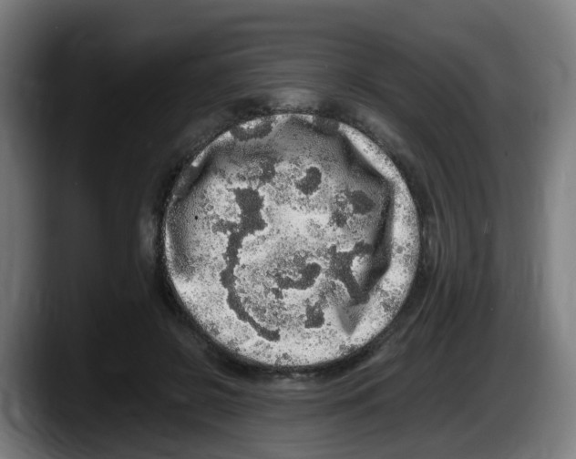 X0000087560550200705251802