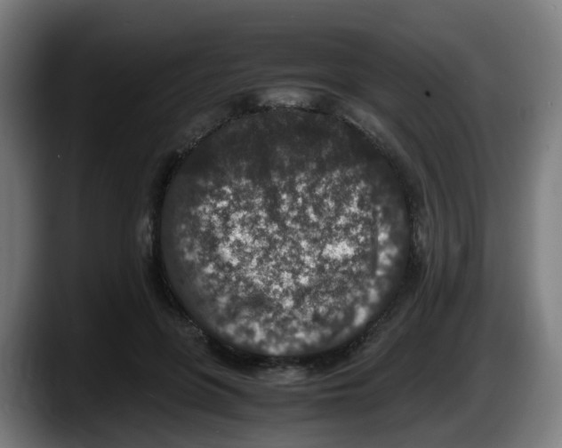 X0000087560551200705251802