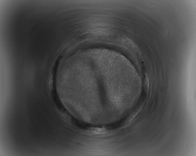 X0000087560552200705251802