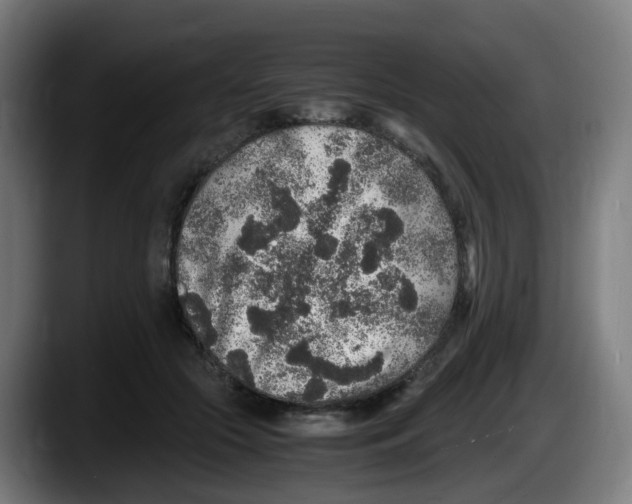 X0000087560553200705251802