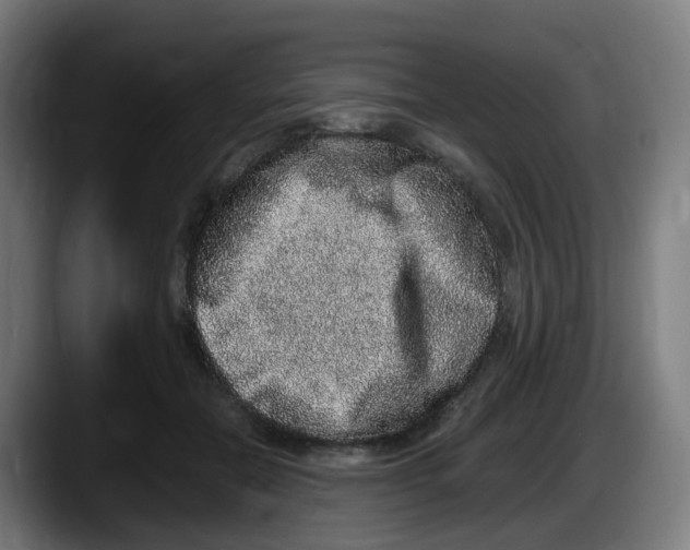X0000087560554200705251802