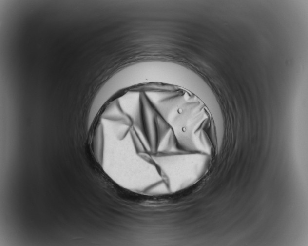 X0000087560556200705251802