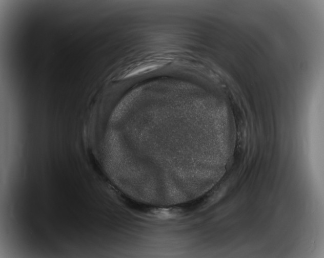 X0000087560558200705251802