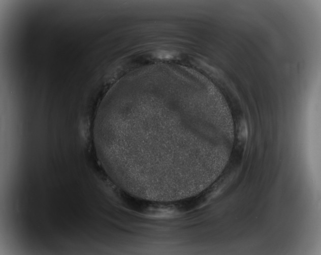 X0000087560559200705251802