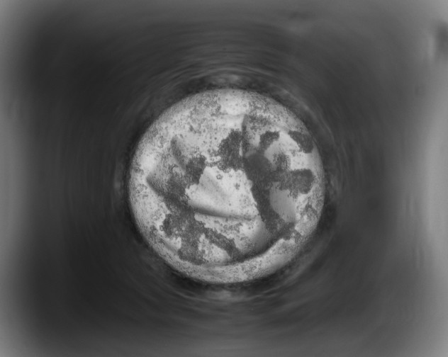 X0000087560561200705251802