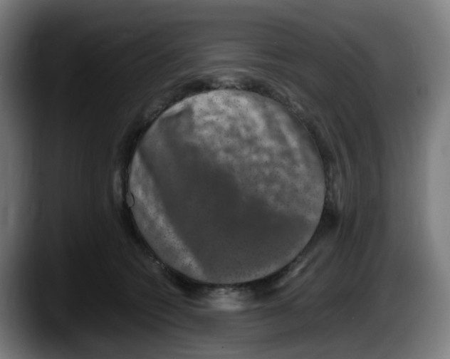 X0000087560562200705251802