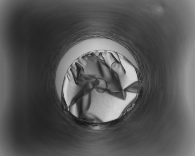 X0000087560564200705251802