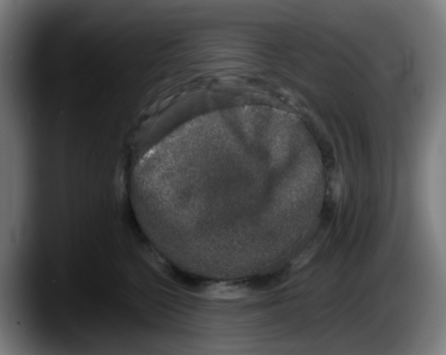 X0000087560568200705251802