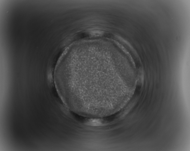X0000087560573200705251803