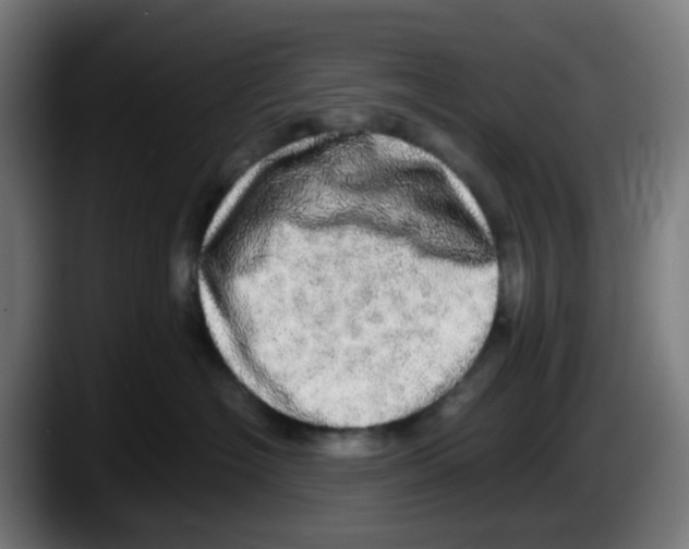 X0000087560574200705251803