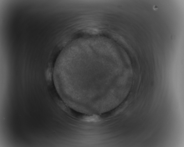 X0000087560576200705251803