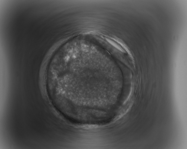 X0000087560577200705251802