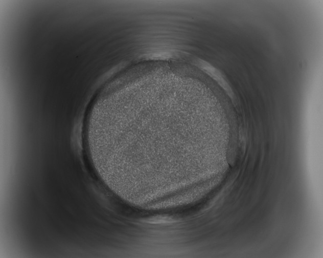 X0000087560578200705251802