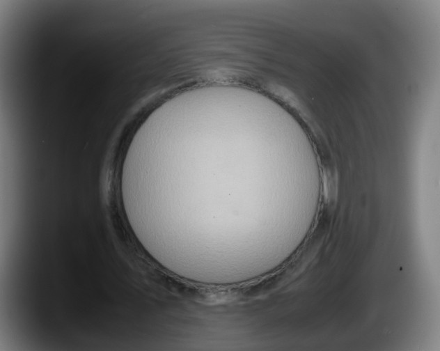 X0000087560579200705251802