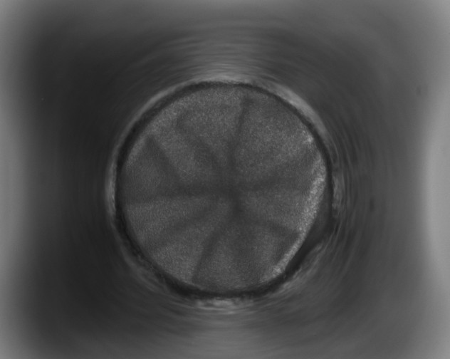 X0000087560580200705251802