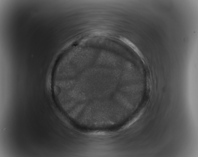 X0000087560581200705251802