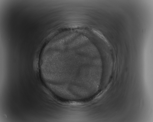 X0000087560585200705251802
