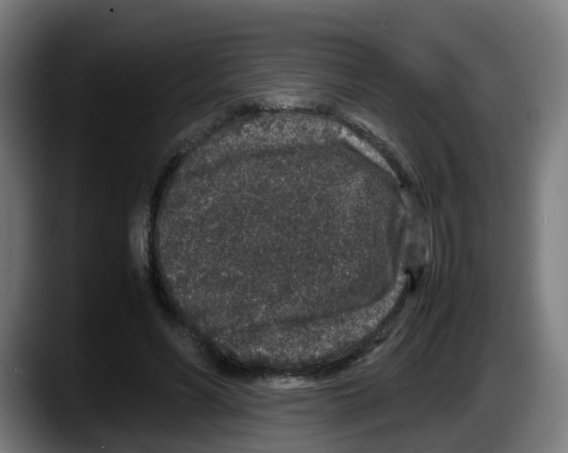 X0000087560590200705251802