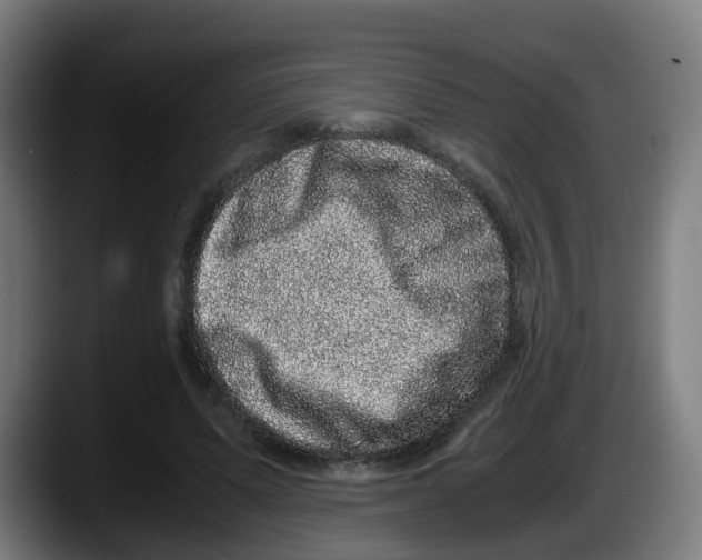 X0000087560591200705251802