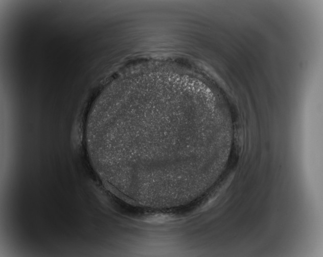 X0000087560593200705251802