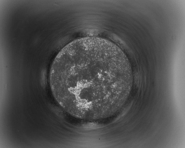X0000087560594200705251802