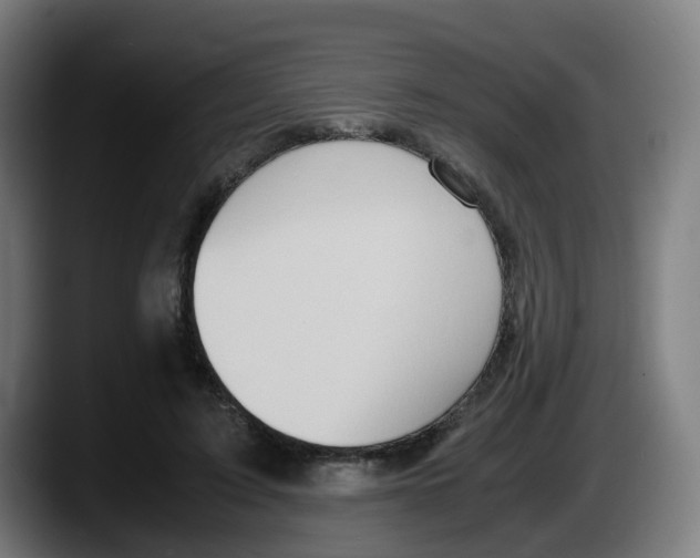 X0000087560595200705251802