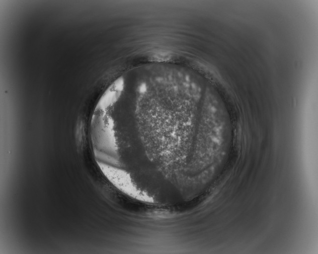 X0000087560598200705251802