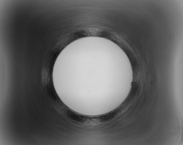 X0000087560599200705251802