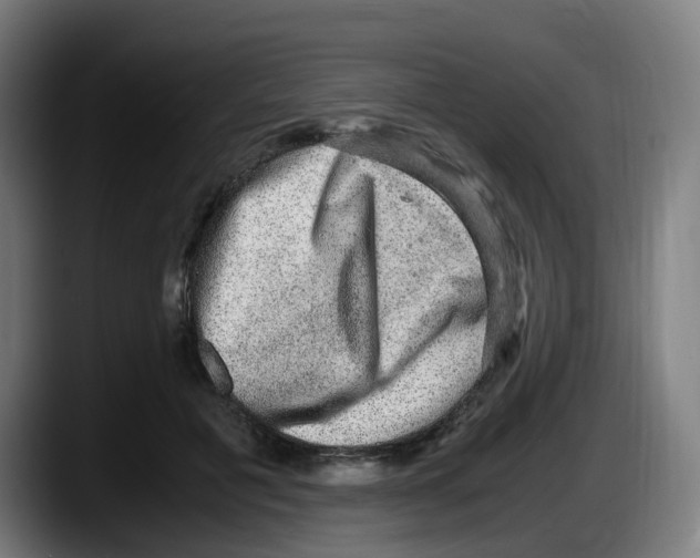 X0000087560601200705251802