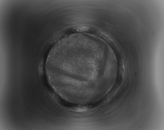 X0000087560604200705251802