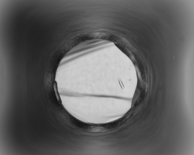 X0000087560605200705251802