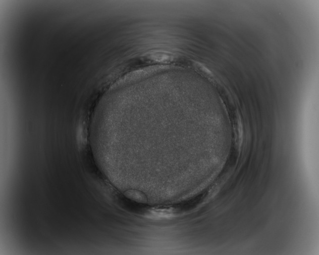 X0000087560606200705251802