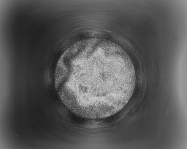X0000087560607200705251802