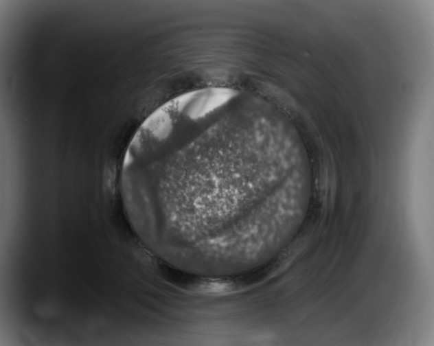 X0000087560610200705251802