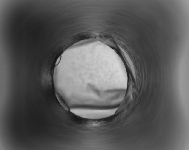 X0000087560613200705251802