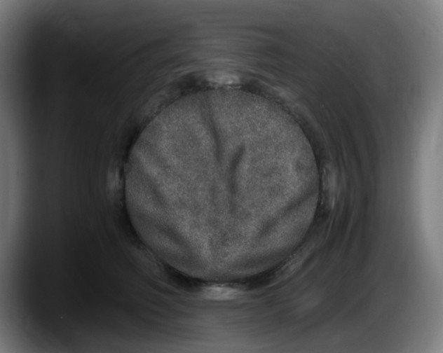 X0000087560614200705251801