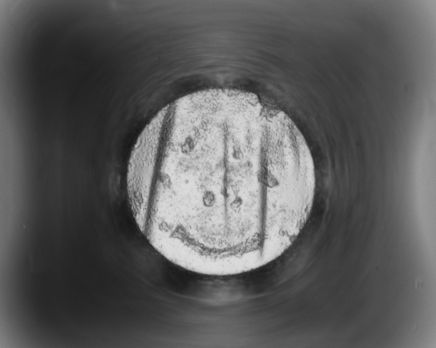 X0000087560615200705251801