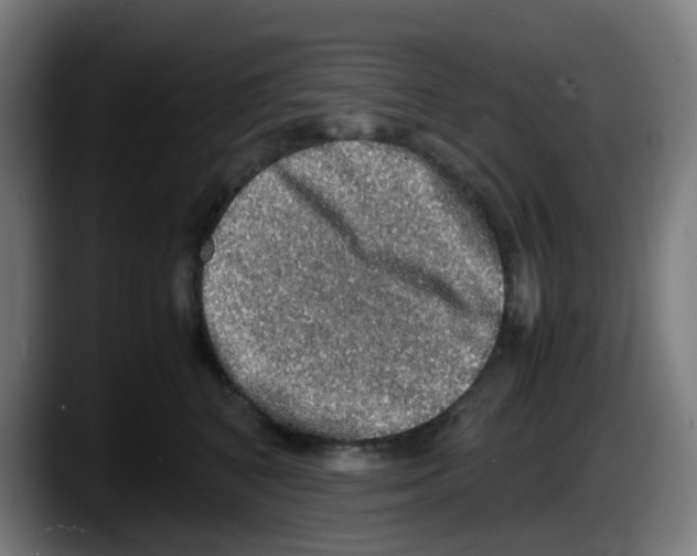 X0000087560616200705251801