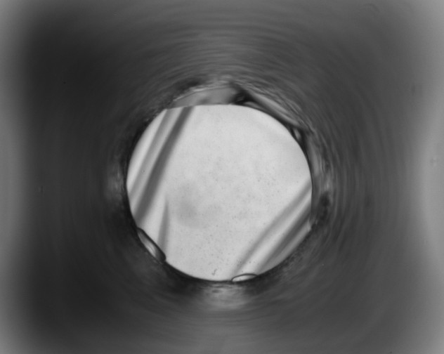 X0000087560617200705251801